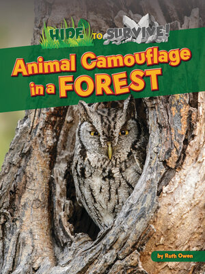 cover image of Animal Camouflage in a Forest